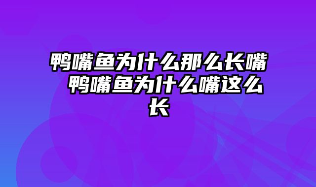 鸭嘴鱼为什么那么长嘴 鸭嘴鱼为什么嘴这么长