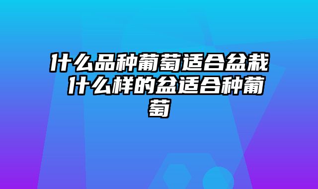 什么品种葡萄适合盆栽 什么样的盆适合种葡萄