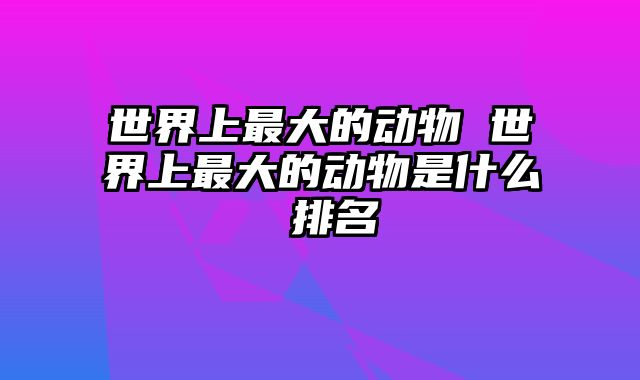 世界上最大的动物 世界上最大的动物是什么 排名