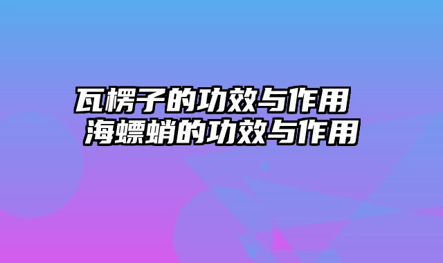瓦楞子的功效与作用 海螵蛸的功效与作用