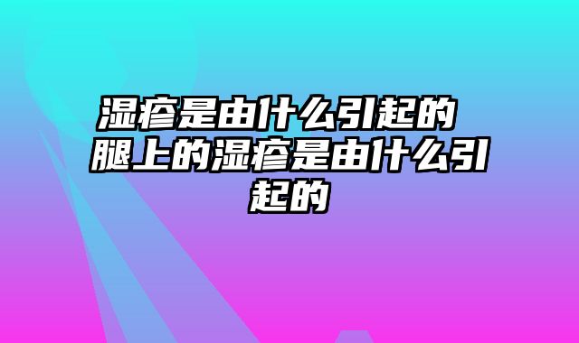 湿疹是由什么引起的 腿上的湿疹是由什么引起的