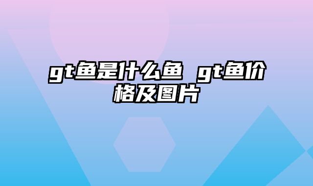 gt鱼是什么鱼 gt鱼价格及图片