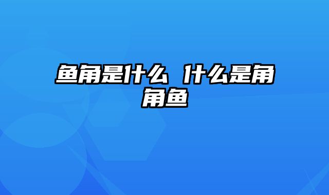 鱼角是什么 什么是角角鱼