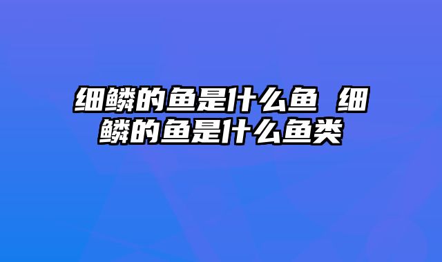 细鳞的鱼是什么鱼 细鳞的鱼是什么鱼类