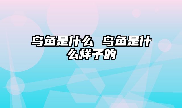 鸟鱼是什么 鸟鱼是什么样子的