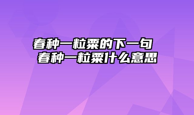 春种一粒粟的下一句 春种一粒粟什么意思