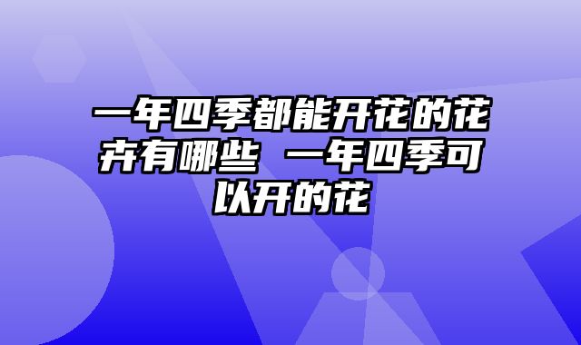一年四季都能开花的花卉有哪些 一年四季可以开的花