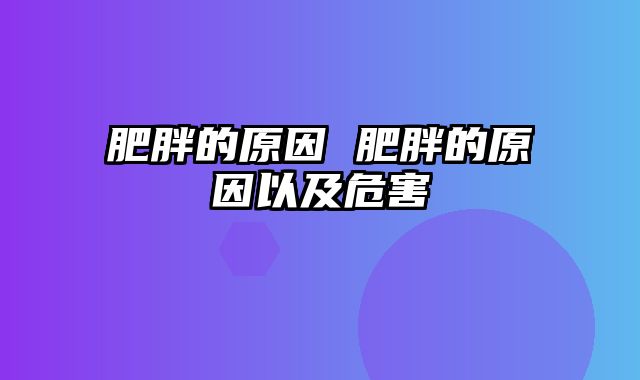 肥胖的原因 肥胖的原因以及危害