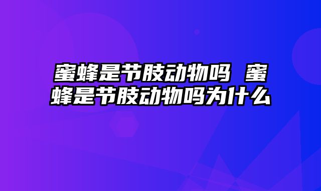 蜜蜂是节肢动物吗 蜜蜂是节肢动物吗为什么