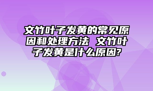 文竹叶子发黄的常见原因和处理方法 文竹叶子发黄是什么原因?