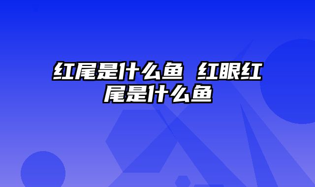 红尾是什么鱼 红眼红尾是什么鱼