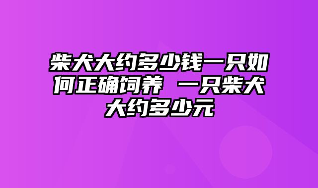 柴犬大约多少钱一只如何正确饲养 一只柴犬大约多少元