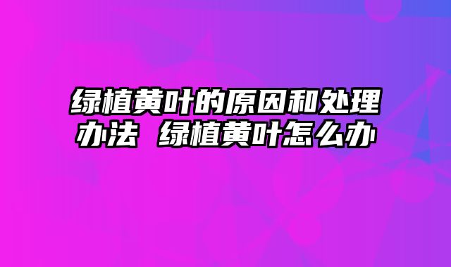 绿植黄叶的原因和处理办法 绿植黄叶怎么办