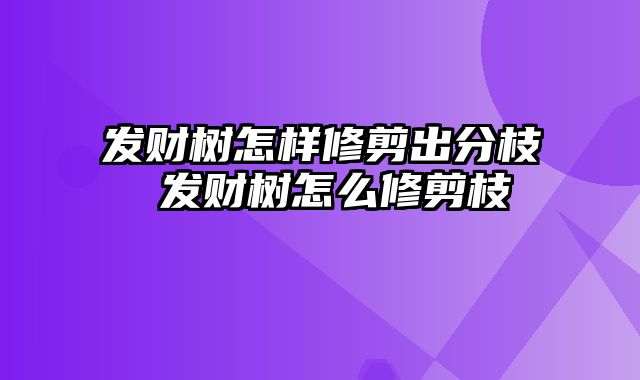 发财树怎样修剪出分枝 发财树怎么修剪枝