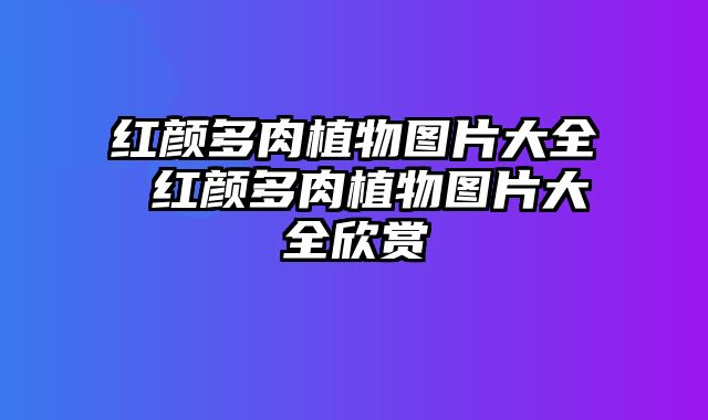 红颜多肉植物图片大全 红颜多肉植物图片大全欣赏
