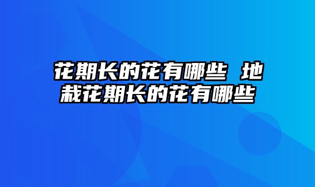 花期长的花有哪些 地栽花期长的花有哪些