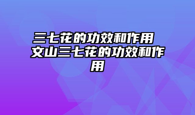 三七花的功效和作用 文山三七花的功效和作用
