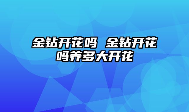 金钻开花吗 金钻开花吗养多大开花