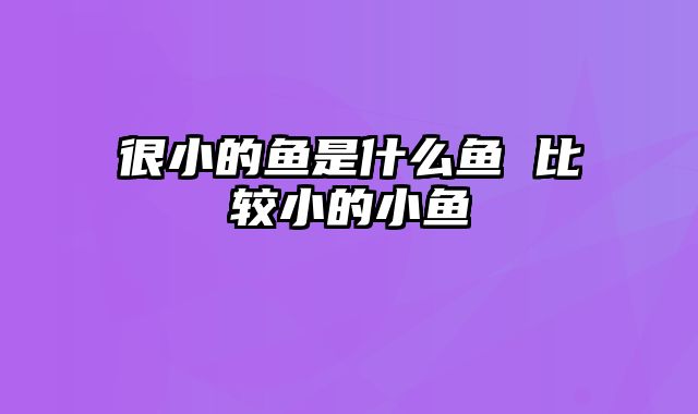 很小的鱼是什么鱼 比较小的小鱼