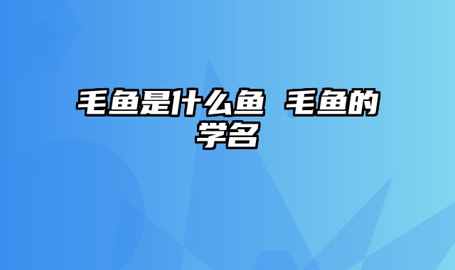 毛鱼是什么鱼 毛鱼的学名