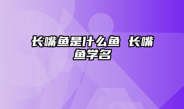 长嘴鱼是什么鱼 长嘴鱼学名