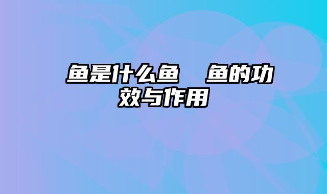鳀鱼是什么鱼 鳀鱼的功效与作用