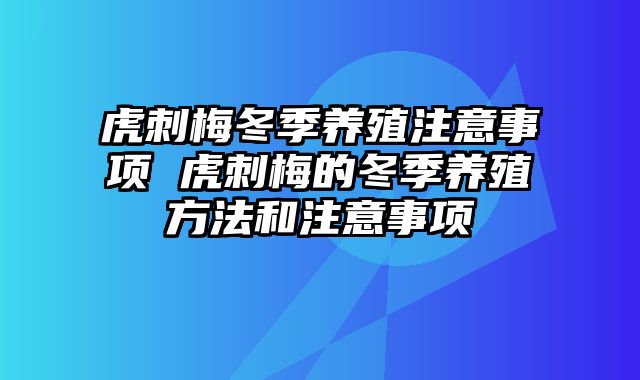 虎刺梅冬季养殖注意事项 虎刺梅的冬季养殖方法和注意事项