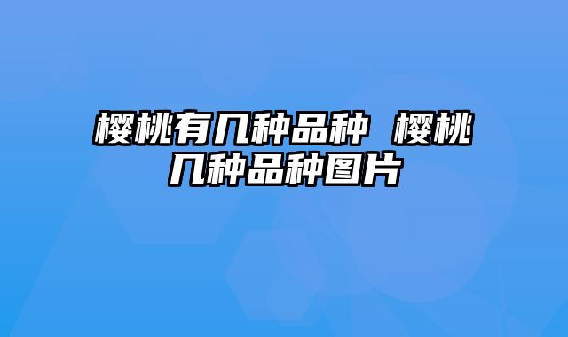 樱桃有几种品种 樱桃几种品种图片