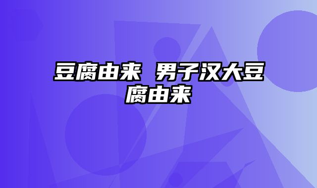 豆腐由来 男子汉大豆腐由来