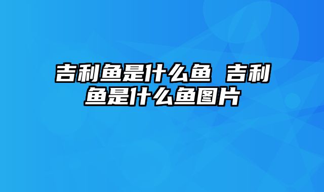 吉利鱼是什么鱼 吉利鱼是什么鱼图片