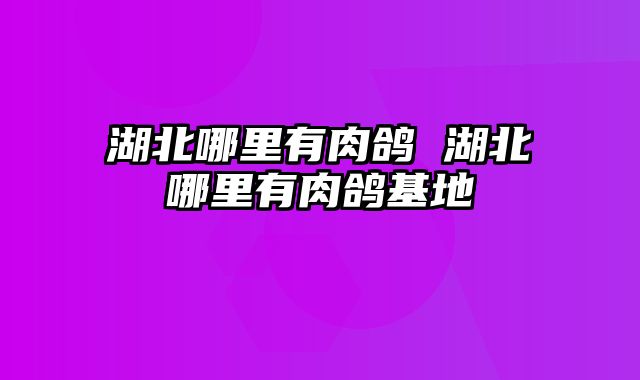 湖北哪里有肉鸽 湖北哪里有肉鸽基地