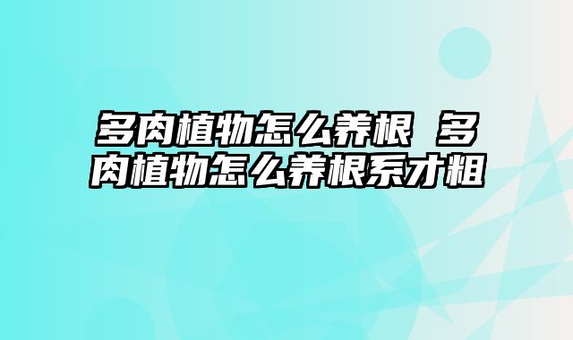 多肉植物怎么养根 多肉植物怎么养根系才粗