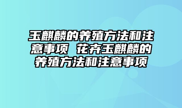 玉麒麟的养殖方法和注意事项 花卉玉麒麟的养殖方法和注意事项