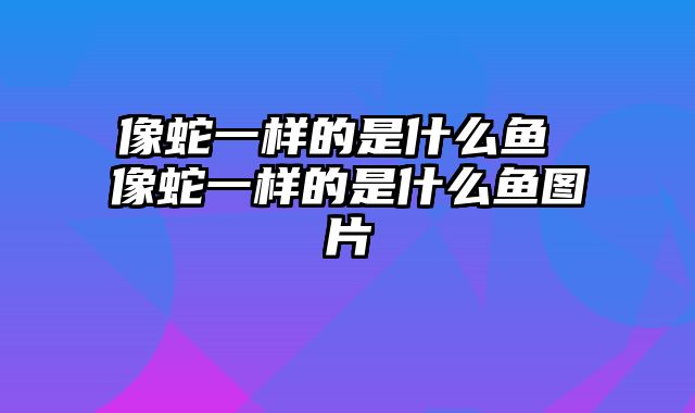 像蛇一样的是什么鱼 像蛇一样的是什么鱼图片