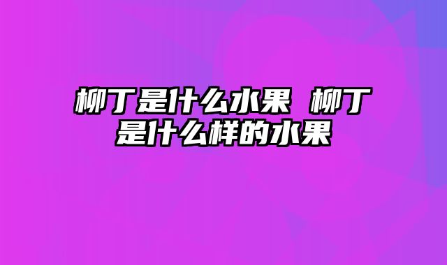 柳丁是什么水果 柳丁是什么样的水果