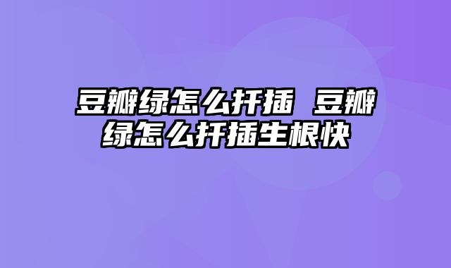 豆瓣绿怎么扦插 豆瓣绿怎么扦插生根快