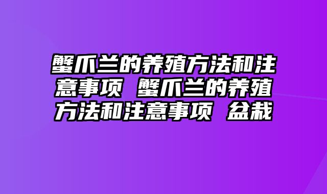 蟹爪兰的养殖方法和注意事项 蟹爪兰的养殖方法和注意事项 盆栽