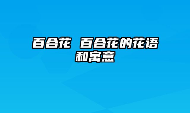 百合花 百合花的花语和寓意