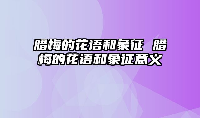 腊梅的花语和象征 腊梅的花语和象征意义