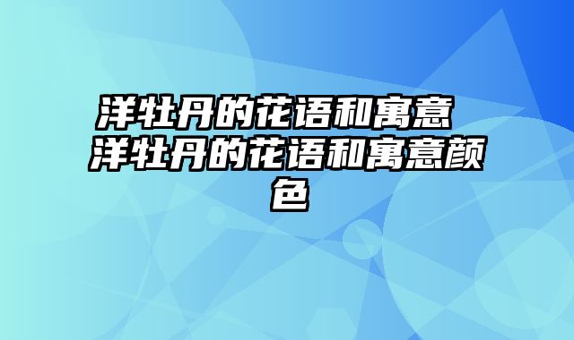 洋牡丹的花语和寓意 洋牡丹的花语和寓意颜色