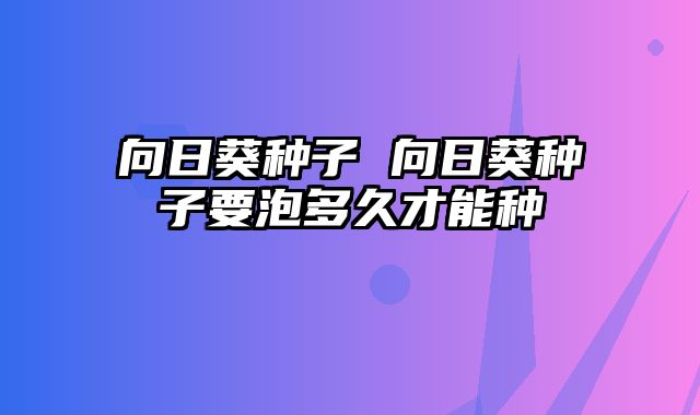 向日葵种子 向日葵种子要泡多久才能种