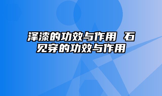 泽漆的功效与作用 石见穿的功效与作用