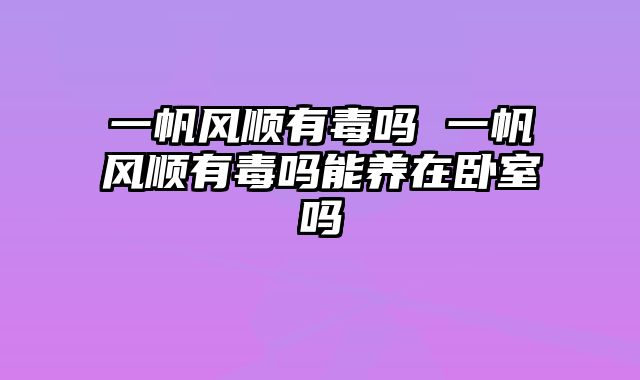 一帆风顺有毒吗 一帆风顺有毒吗能养在卧室吗