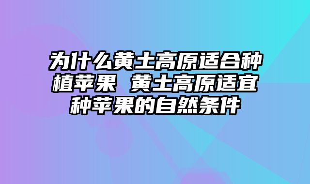 为什么黄土高原适合种植苹果 黄土高原适宜种苹果的自然条件