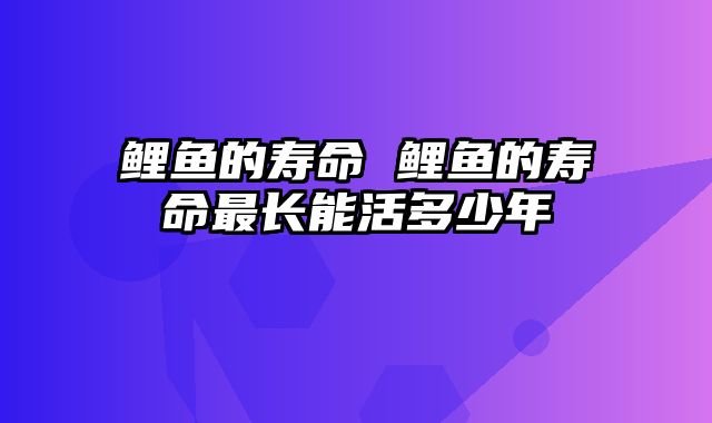 鲤鱼的寿命 鲤鱼的寿命最长能活多少年
