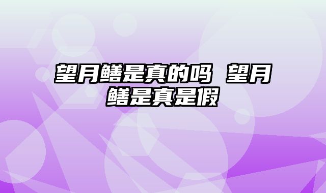 望月鳝是真的吗 望月鳝是真是假