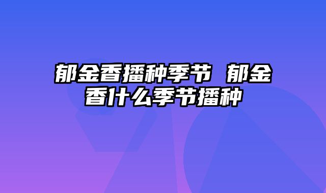 郁金香播种季节 郁金香什么季节播种