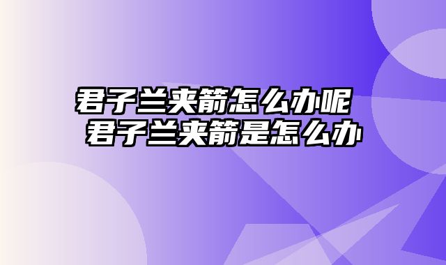 君子兰夹箭怎么办呢 君子兰夹箭是怎么办