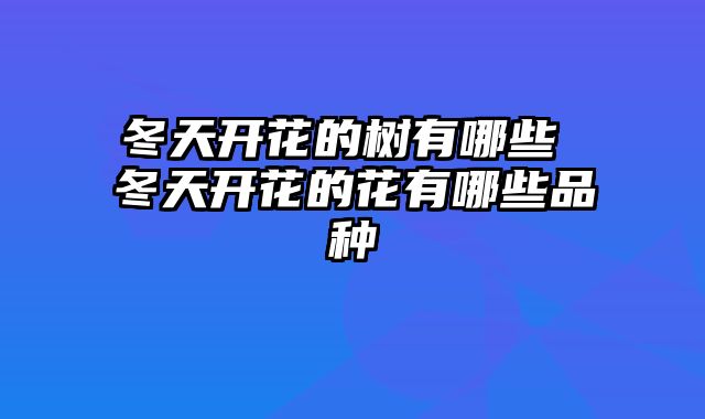 冬天开花的树有哪些 冬天开花的花有哪些品种