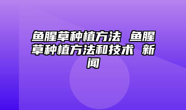 鱼腥草种植方法 鱼腥草种植方法和技术 新闻